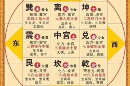 紫薇斗数如看今年流年