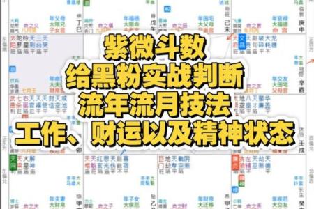 紫薇斗数看你的动力