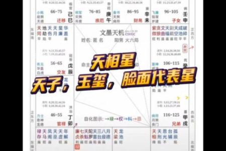紫薇斗数怎样查天相