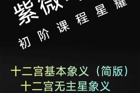 紫微斗数天马星之十二宫释义