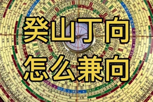 癸丁兼子午吉凶方位图