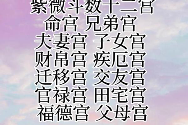 紫薇斗数河洛派