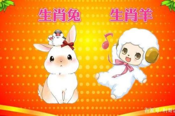 91年属什么生肖配对结婚 91年属什么动物