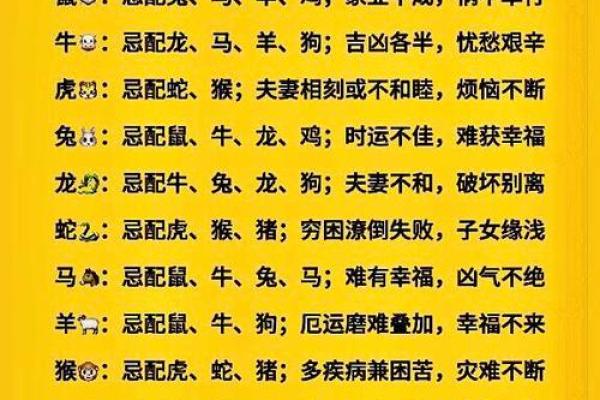 91年属什么生肖配对结婚 91年属什么动物