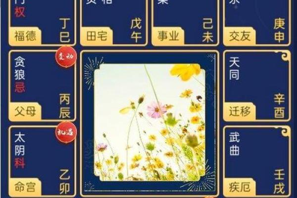 紫微斗数紫薇星在疾厄宫