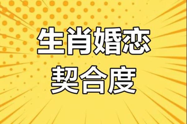 十二生肖配对指数大揭秘