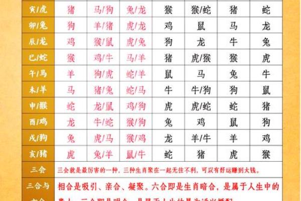 十二生肖配对指数大揭秘