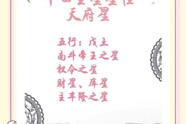 夫妻紫薇天府星