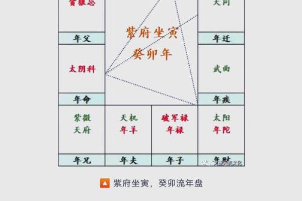 夫妻紫薇天府星