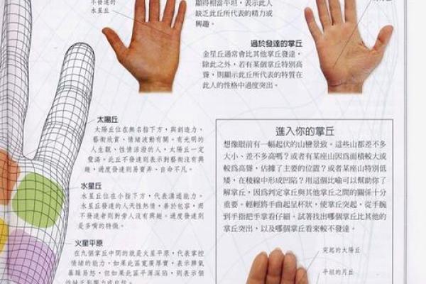 《手相学习百科》：认识双手