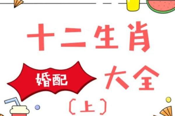 周易中属什么生肖？解析周易生肖配对