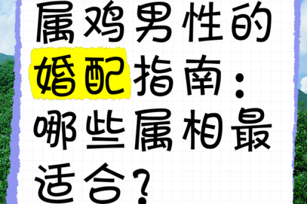 男鸡女牛配对姻缘 男鸡女牛配不配？