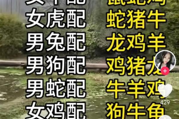 男鸡女牛配对姻缘 男鸡女牛配不配？