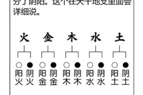 八字五行代表