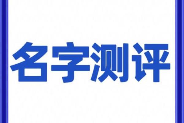 姓名分析测试免费测试,姓名测算分析