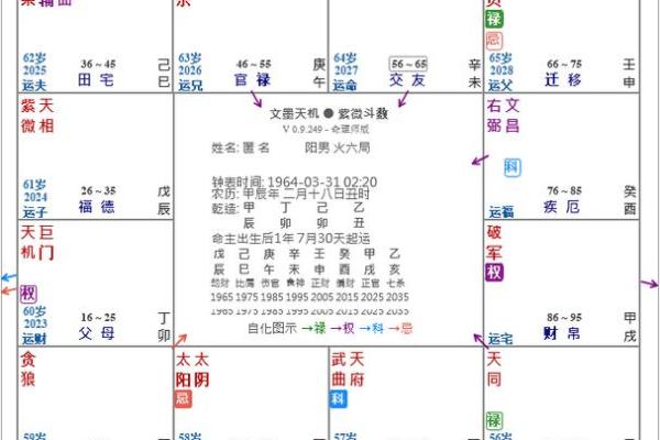 紫薇斗数文机
