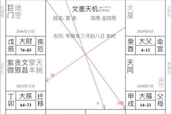 大运紫微斗数命盘查询详解 紫微斗数大运什么意思？