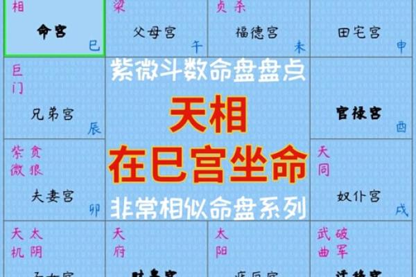 大运紫微斗数命盘查询详解 紫微斗数大运什么意思？