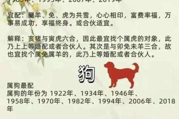 61年属什么生肖配对