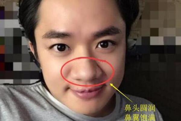 鼻头大的男人面相在风水中有哪些含义