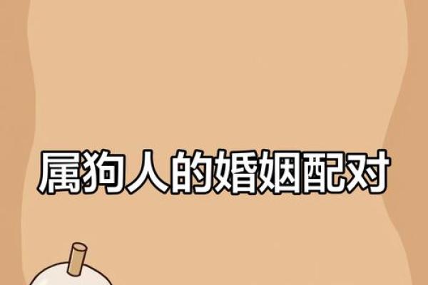 属狗姻缘属相婚配表 属狗的婚姻属相配对？