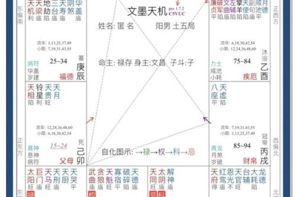 紫薇斗数的命宫是怎么坐的