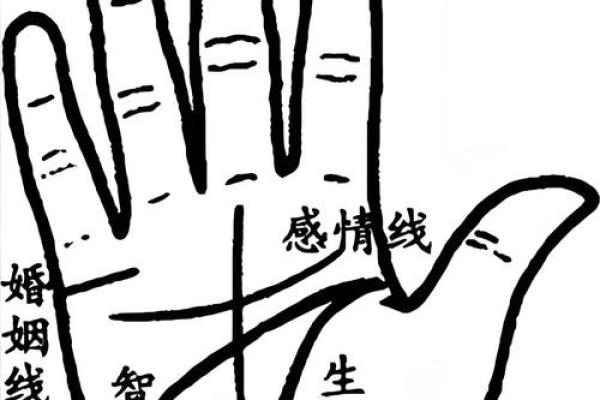 《手相学习百科》：手相重要辅线