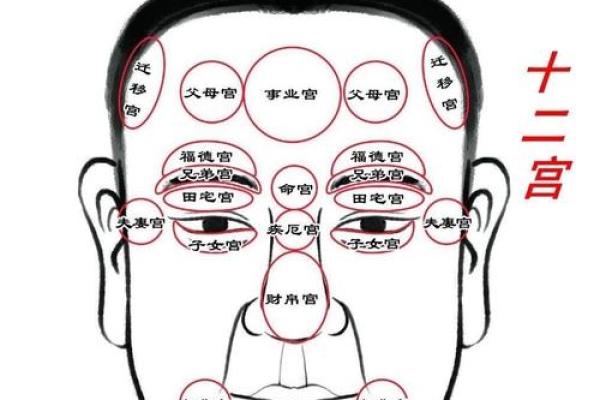 相术算命师分析：命苦且劳累的体相！