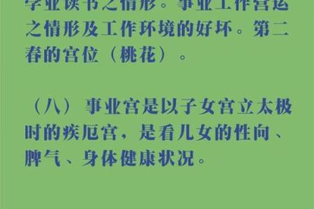 紫微斗数之事业宫与诸星，廉贞星在事业宫是什么意思？