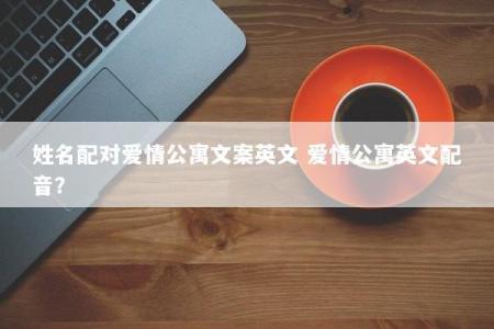 姓名配对爱情公寓文案英文 爱情公寓英文配音？