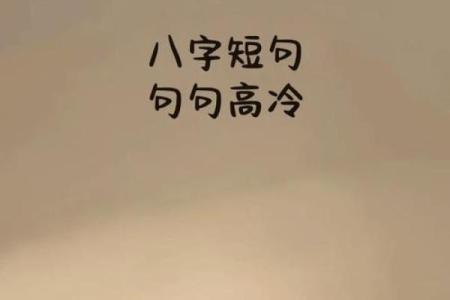 八字个签高冷