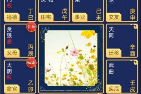 紫微斗数紫薇星在疾厄宫
