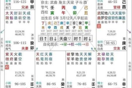 紫薇斗数大子女