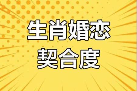 十二生肖配对指数大揭秘