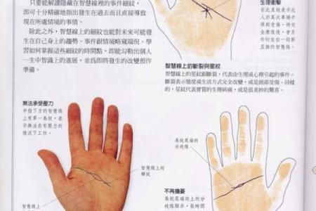 《手相学习百科》：手的形状