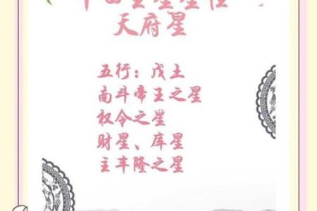 夫妻紫薇天府星
