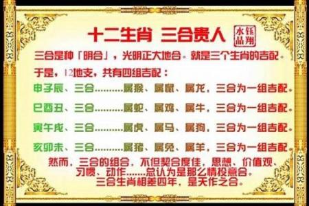 周易中属什么生肖？解析周易生肖配对