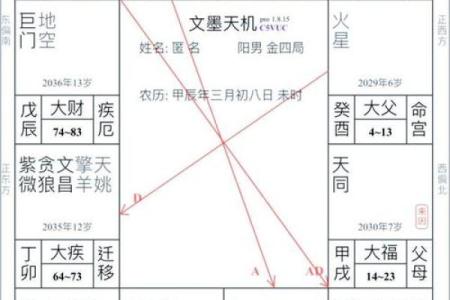 大运紫微斗数命盘查询详解 紫微斗数大运什么意思？