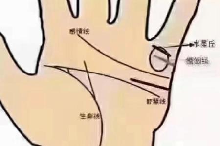 《手相学习百科》：手相看家庭与遗传