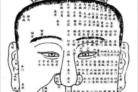 鼻头大的男人面相在风水中有哪些含义
