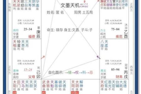 紫薇斗数的命宫是怎么坐的