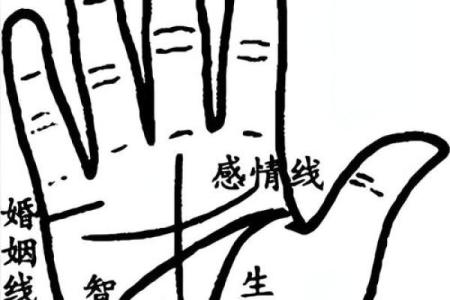 《手相学习百科》：手相重要辅线
