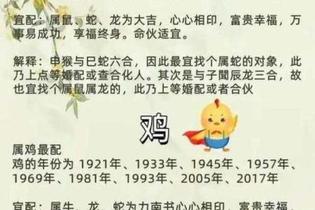 十二肖和十二生肖配对,十二生肖最佳婚配表是怎样的？