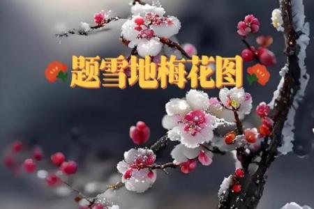梅花风水_我秀了一副两米多的霜雪梅花图按风水是挂在西墙上好还是东墙上好