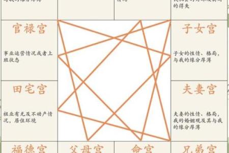 紫薇斗数如何看工作变化