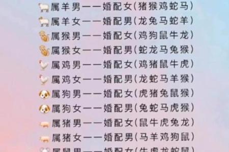 95男猪96女鼠相配吗 配对指数有多高