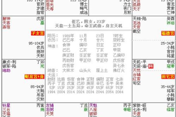 紫薇斗数求解盘