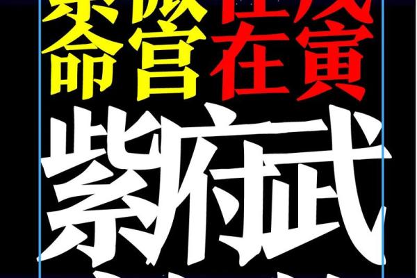 紫薇斗数求解盘