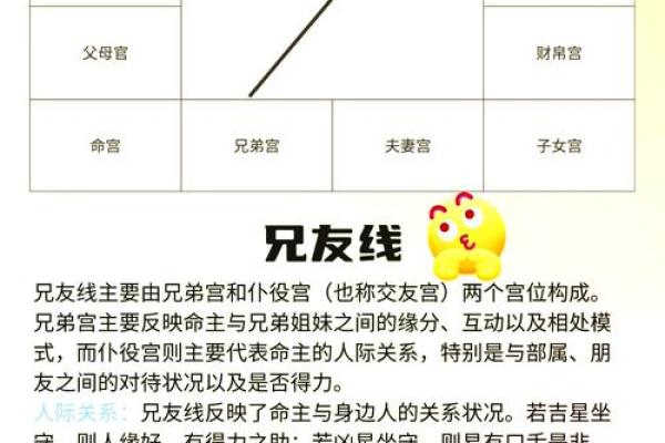 紫微斗数紫薇在兄弟宫怎么解读