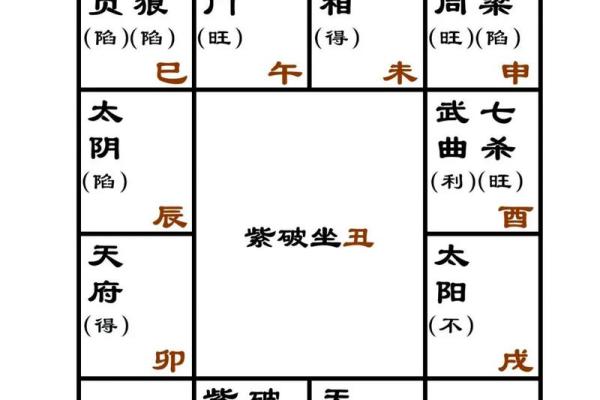 紫薇斗数入门书籍推荐